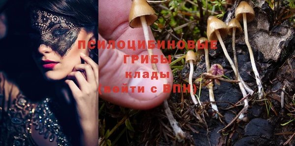 не бодяженный Абинск