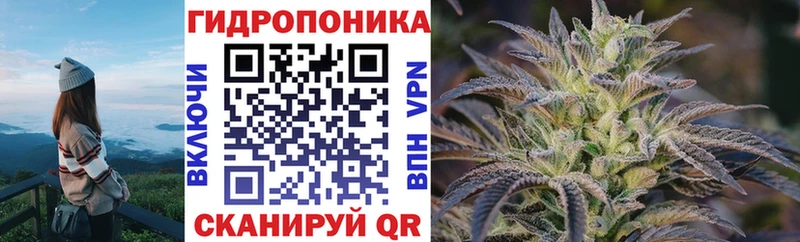 закладки  Нахабино  Марихуана планчик 
